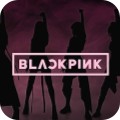 BLACKPINK Collection