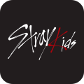 STRAY KIDS Collection
