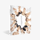 SEVENTEEN - GOING Magazine Vol.2